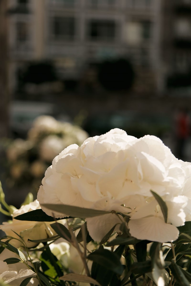 marinacharitopoulou_wedding_PJ-66